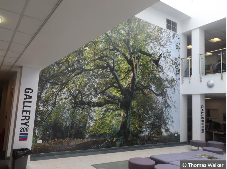 Free Exhibition by International Artists Boyd & Evans in CMK