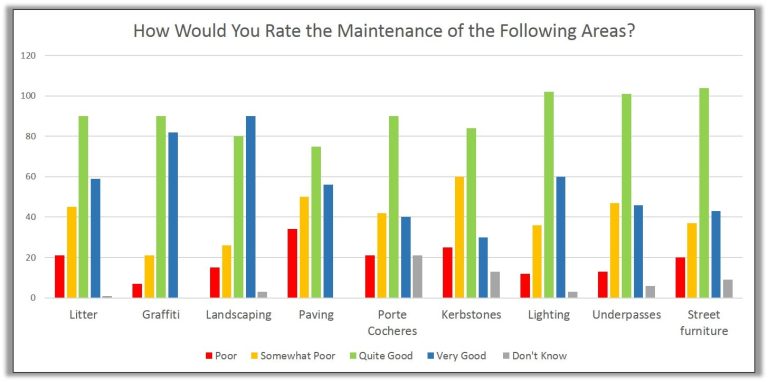 Questionnaire Results Highlight Local Needs and Issues