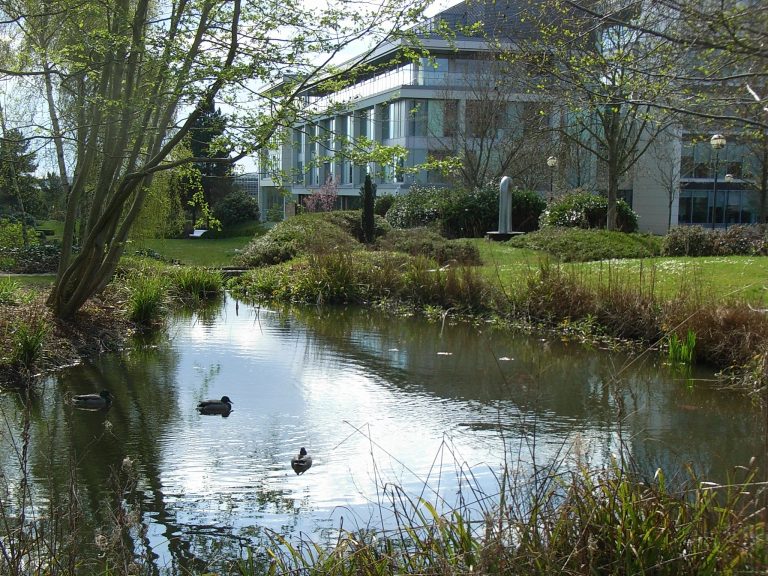 Could This Be CMK’s Most Beautiful Spot?